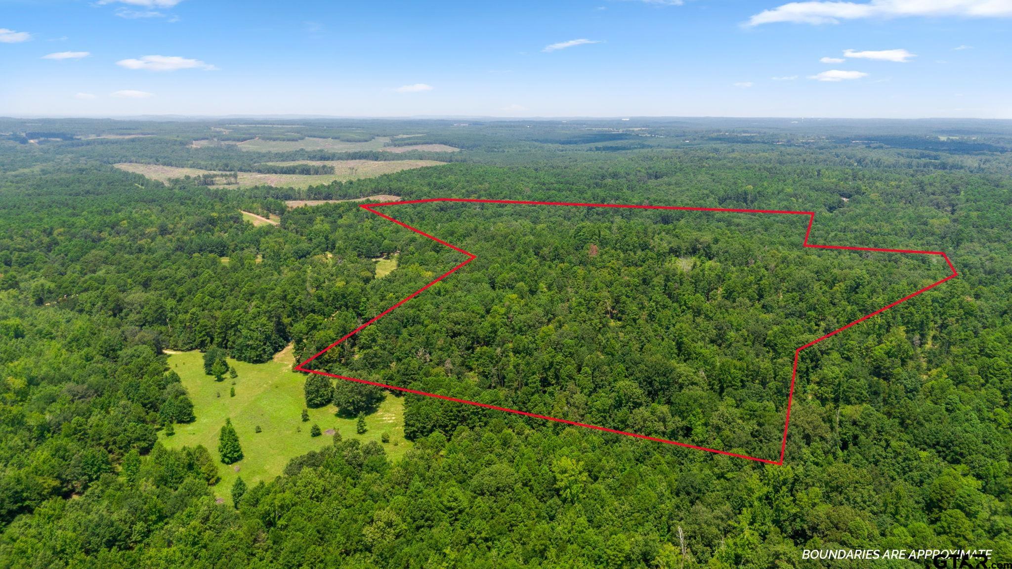 TBD County Road 1596 (61.63 Acres)