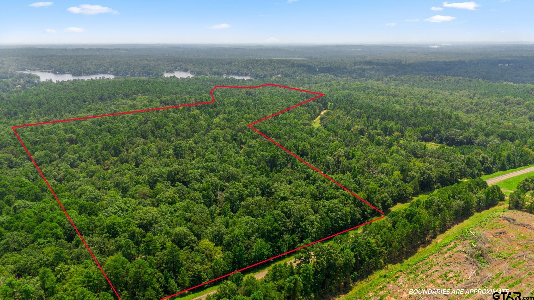 TBD County Road 1596 (61.63 Acres)