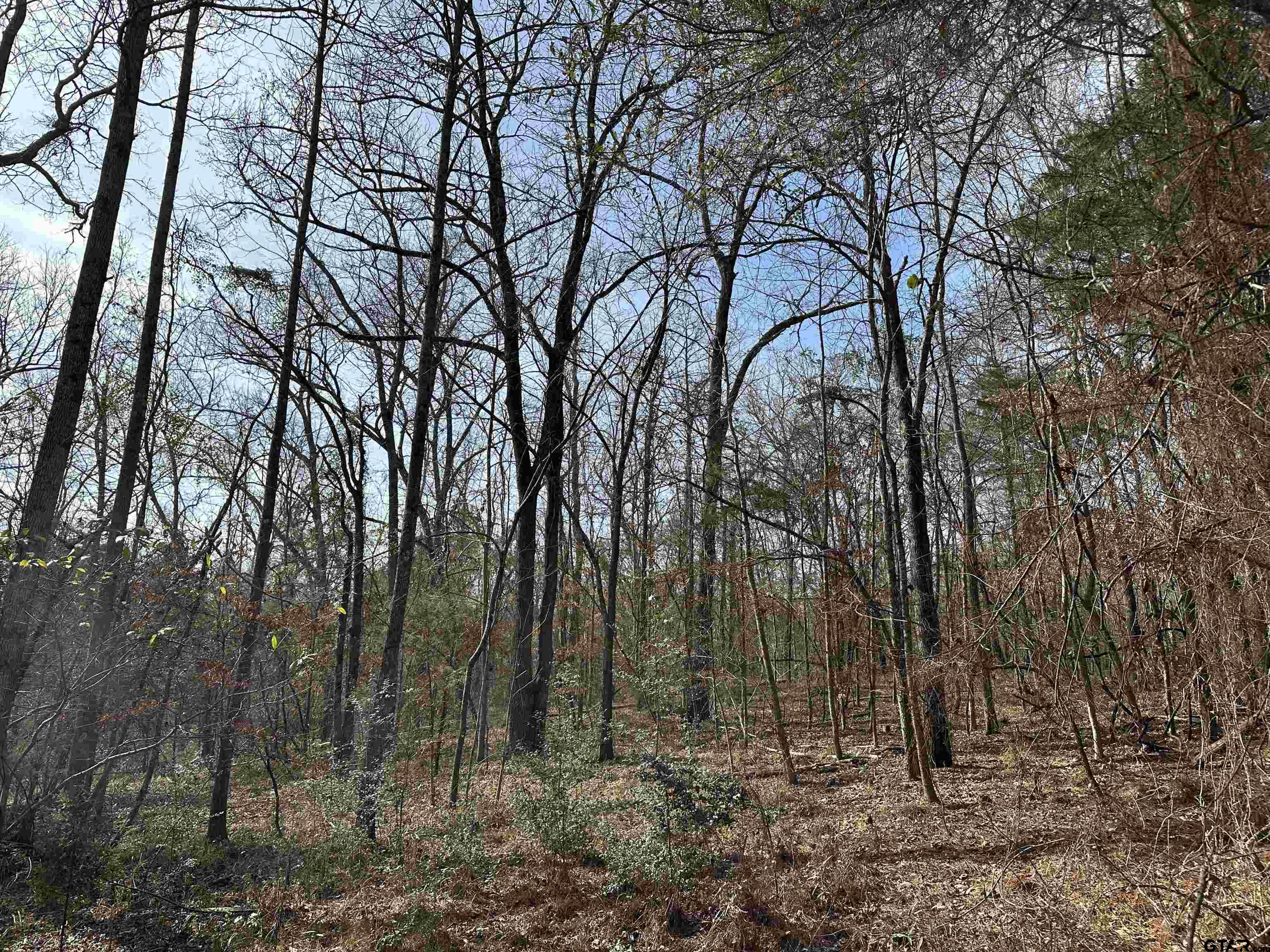 Photo 1 of 29 — TBD CR 2439, Alto, TX 75925
