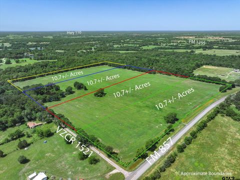 TBD Lot 1 FM 857 Grand Saline TX 75140