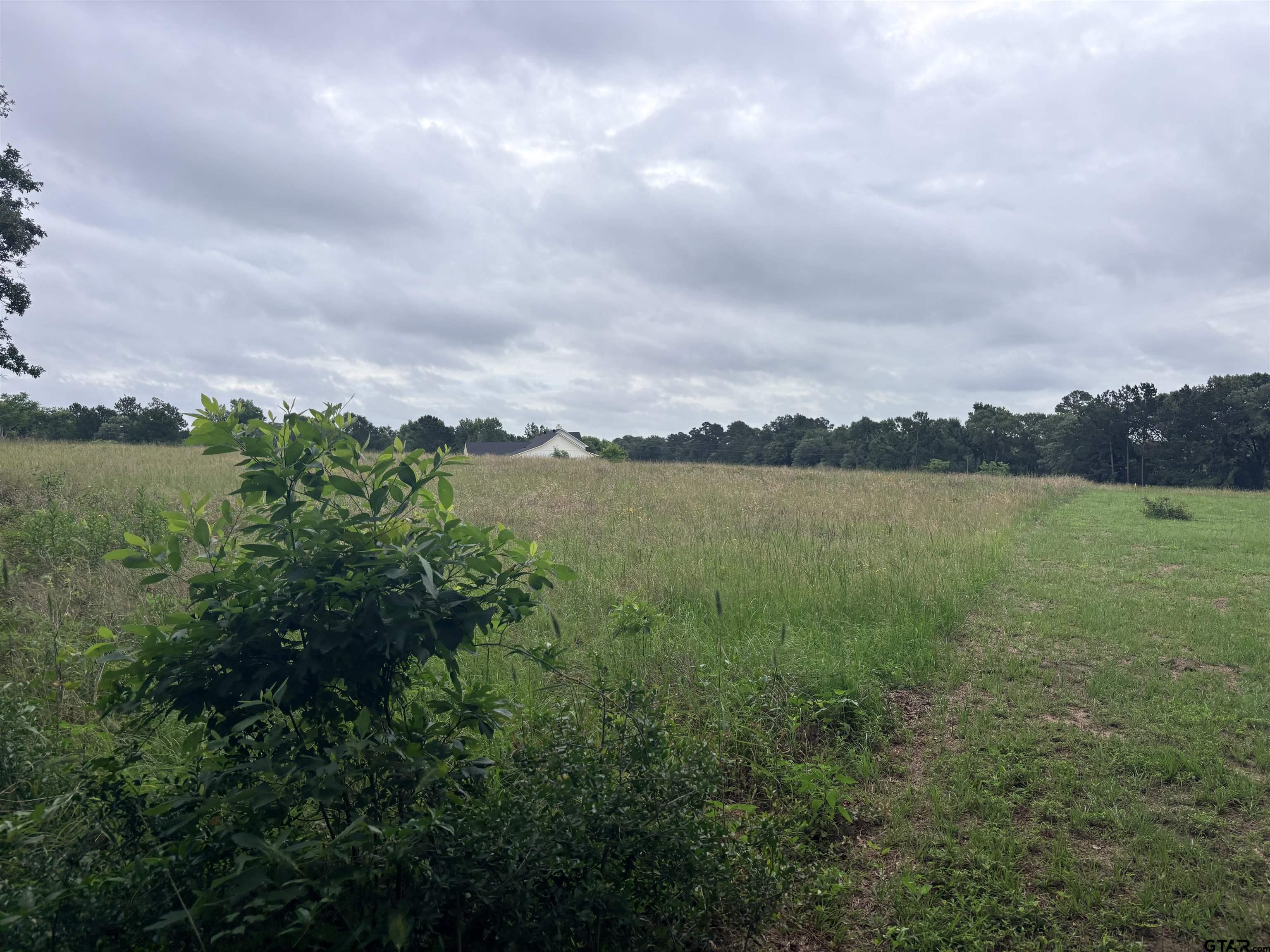 TBD LOT 2 COUNTY ROAD 401