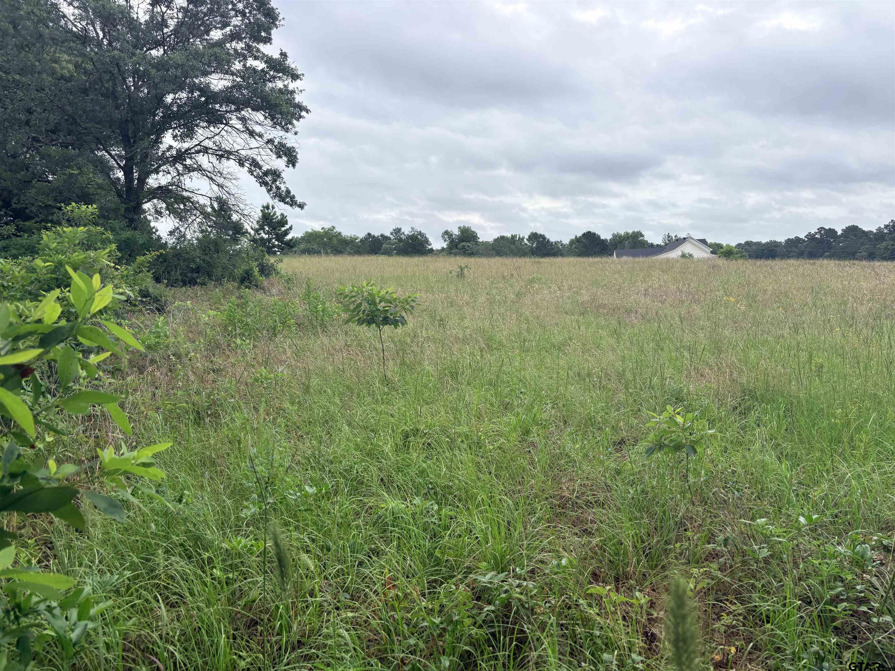 TBD LOT 2 COUNTY ROAD 401