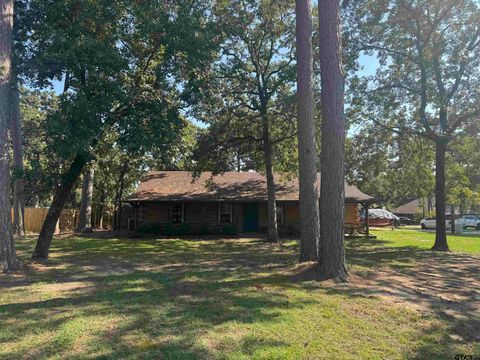 17195 C R 1263 Flint TX 75762