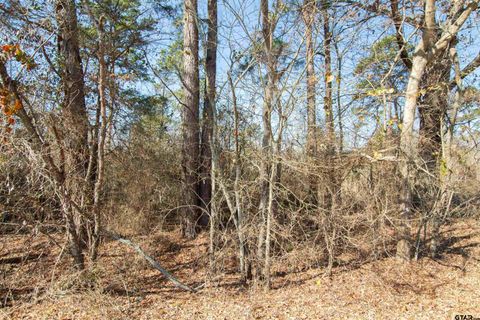 TBD VZ CR 4810 Ben Wheeler TX 75754