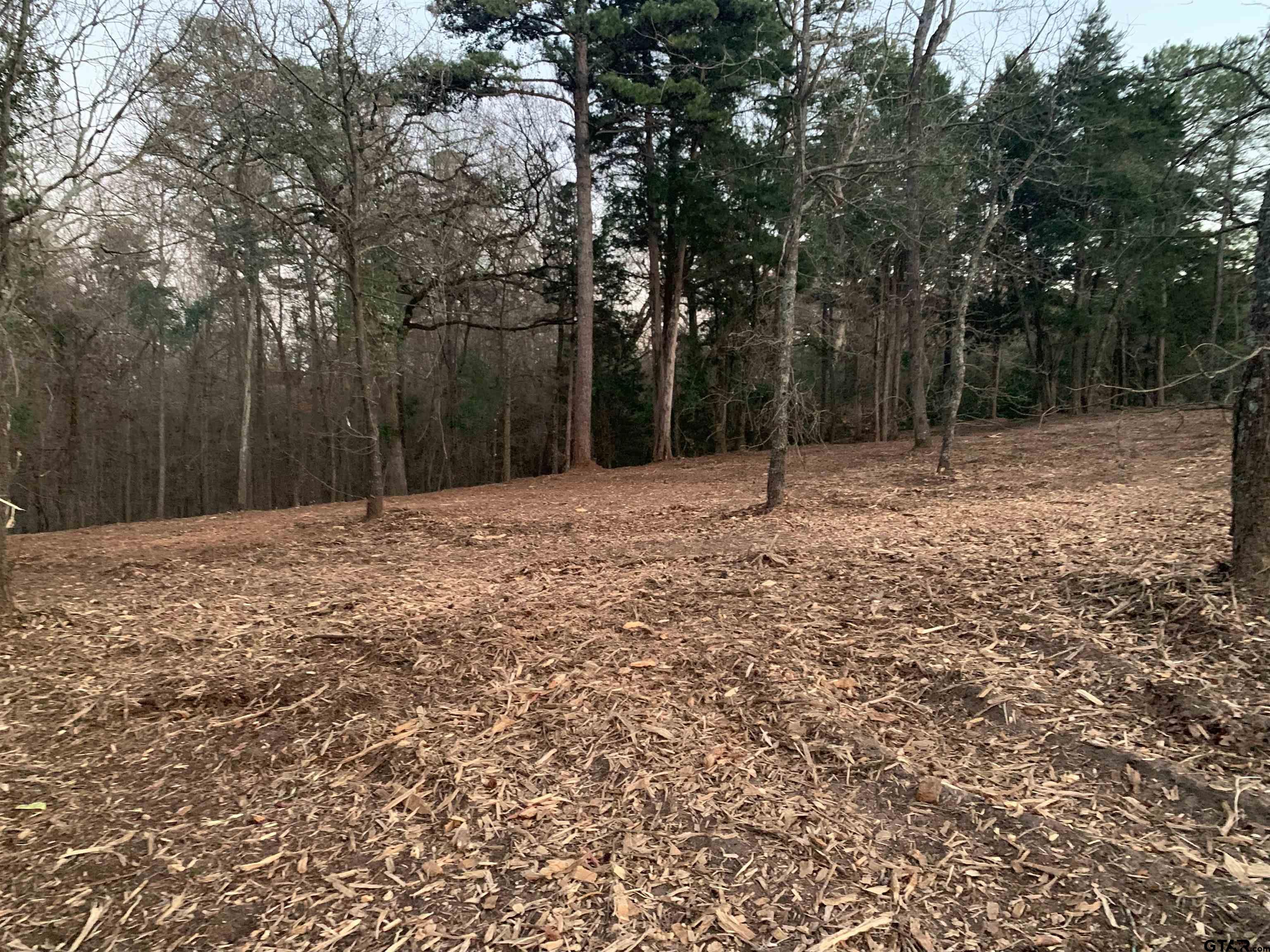 TBD Pedernales Street