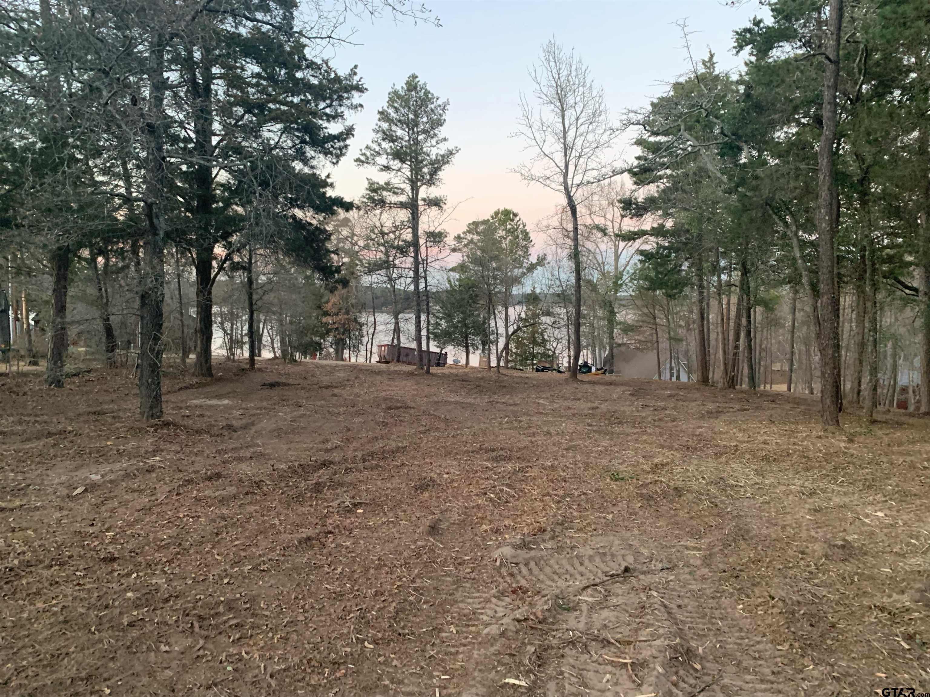 TBD Pedernales Street