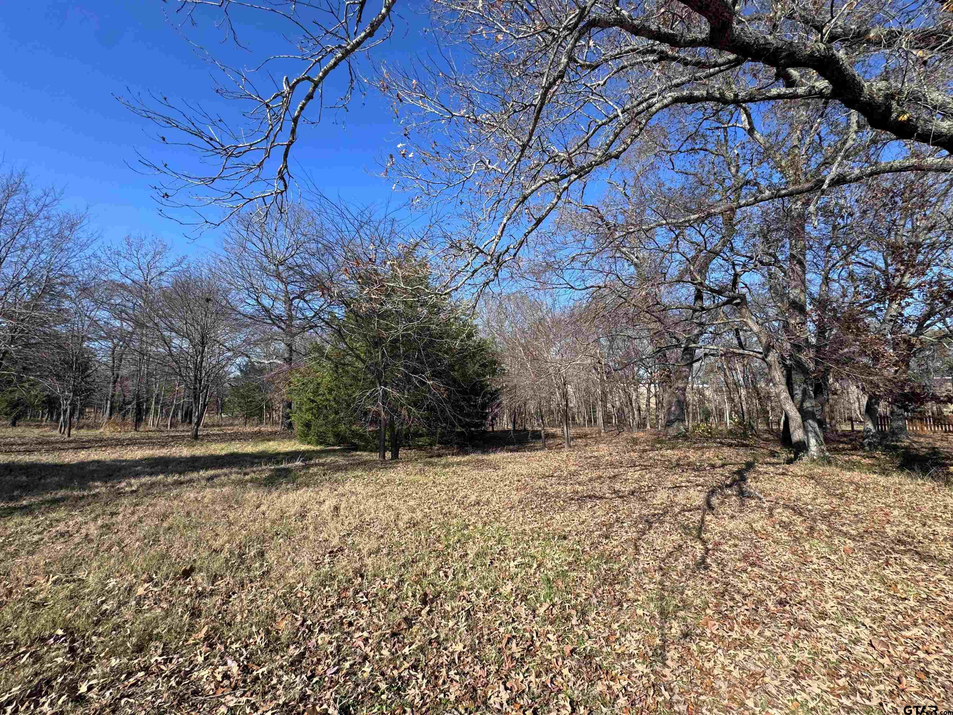 23240 Bridle View Drive