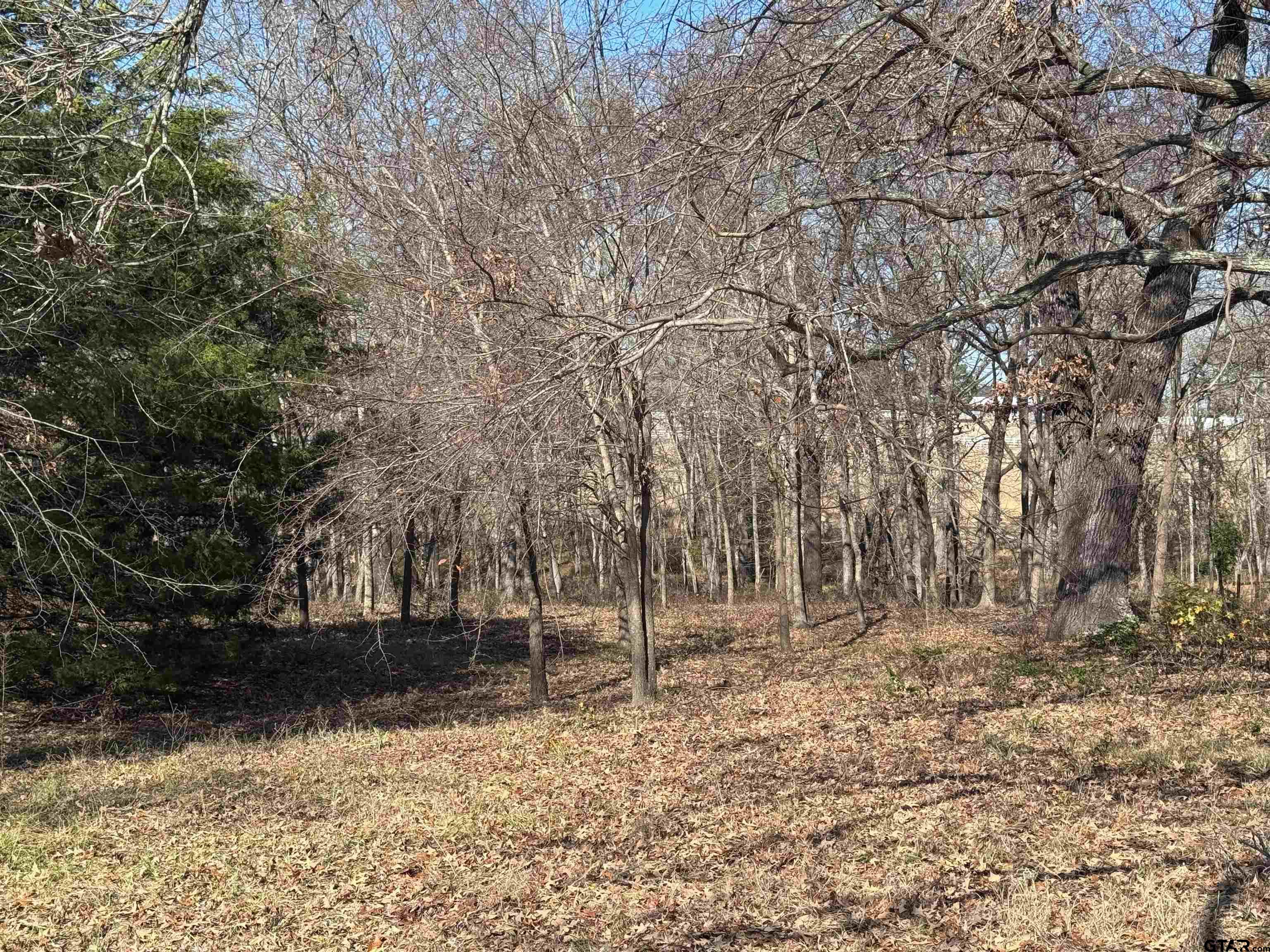 23240 Bridle View Drive