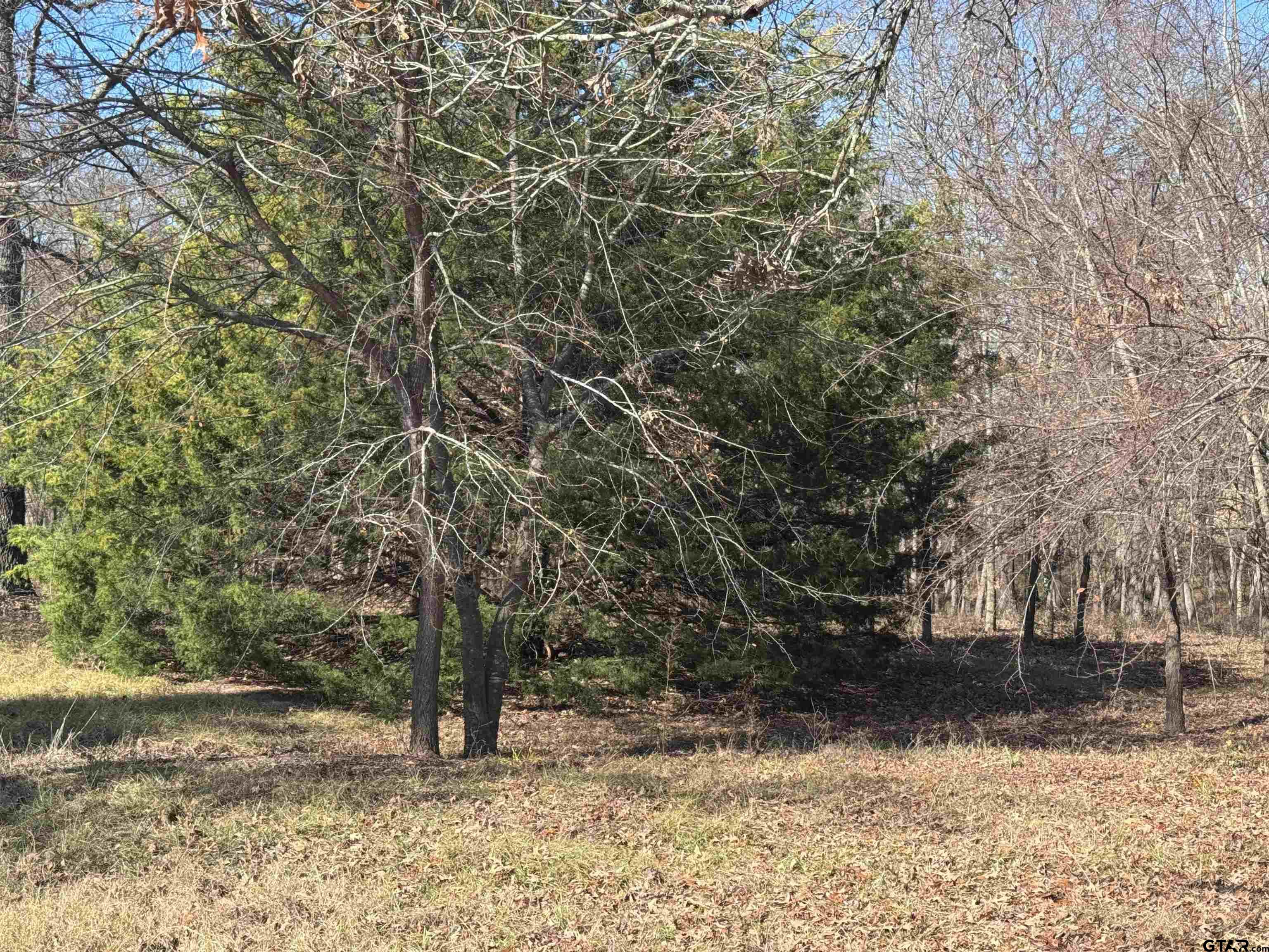 23240 Bridle View Drive