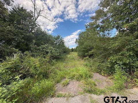 TBD VZ CR 1823 Grand Saline TX 75140