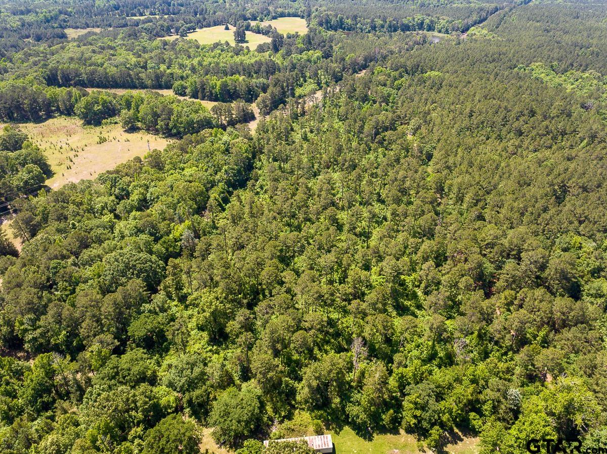 1 County Road 1115