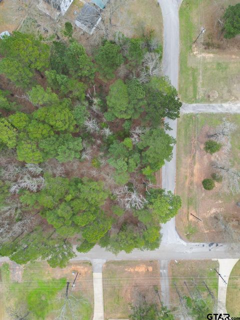 0 Sunshine Lane Troup TX 75789