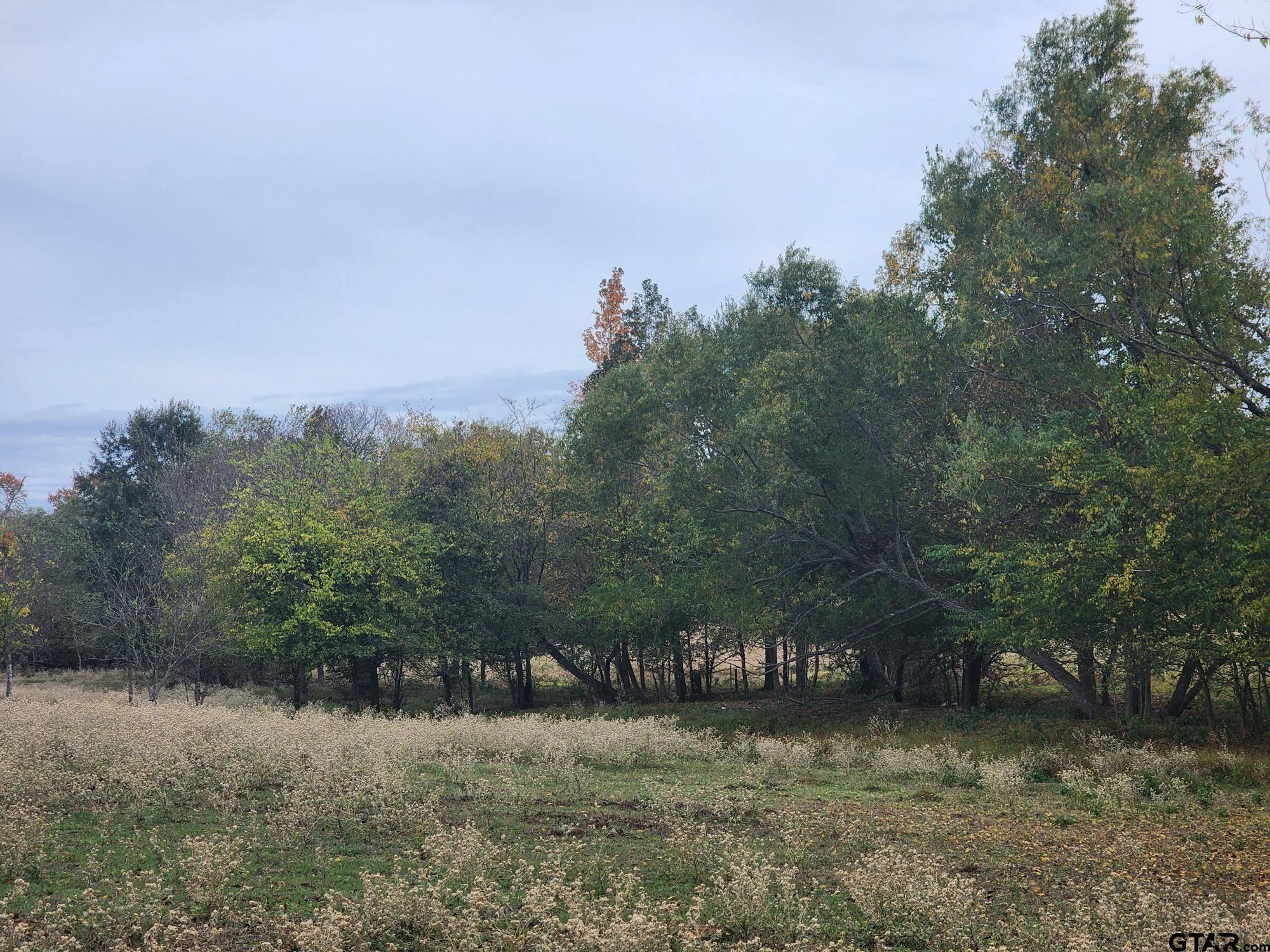 000 County Road 4919