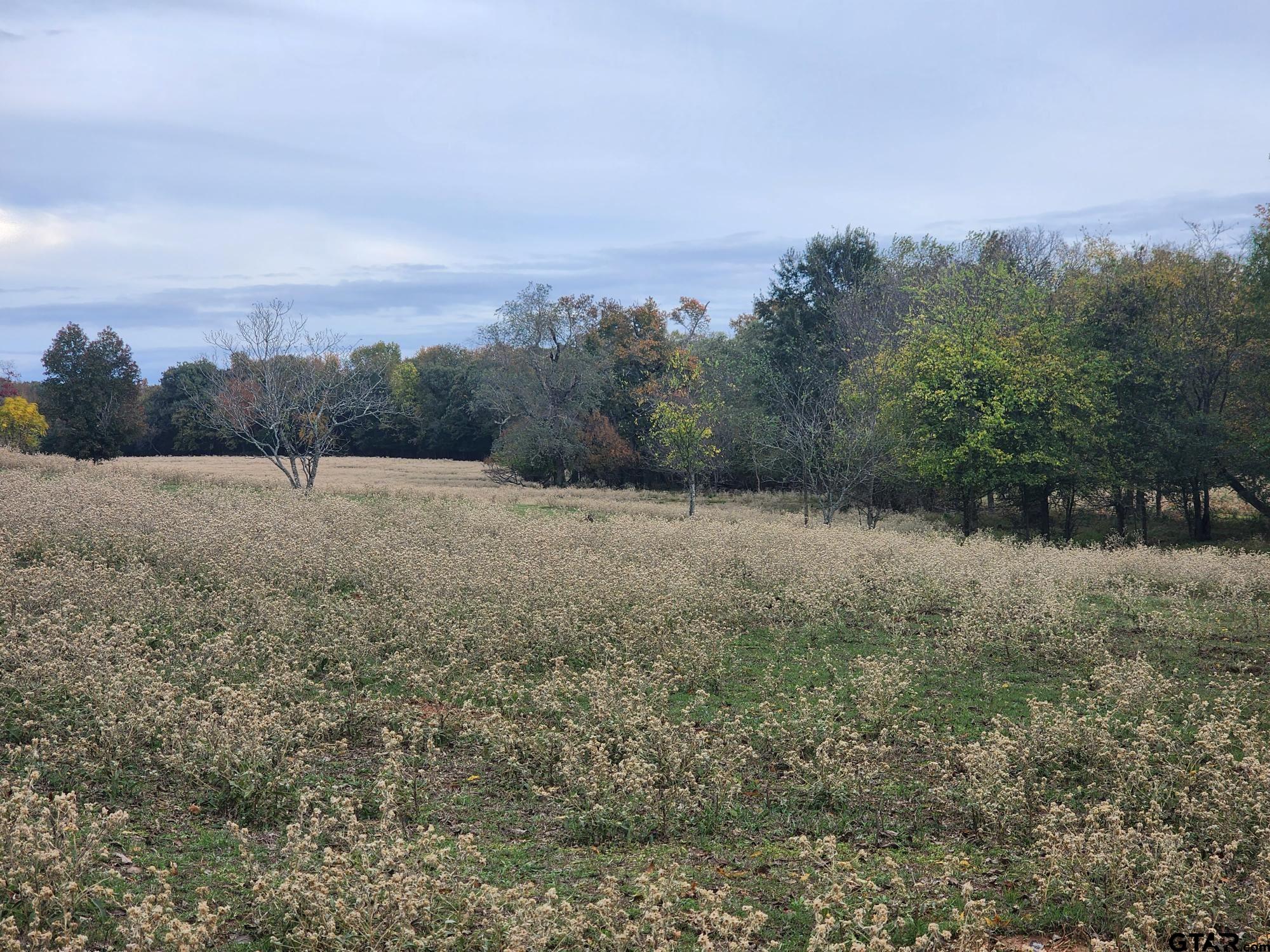 000 County Road 4919