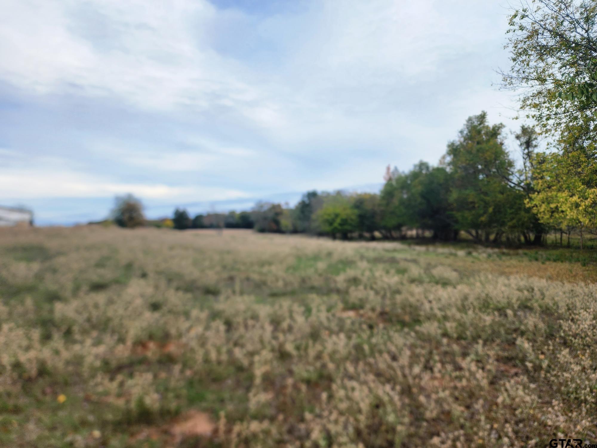 000 County Road 4919