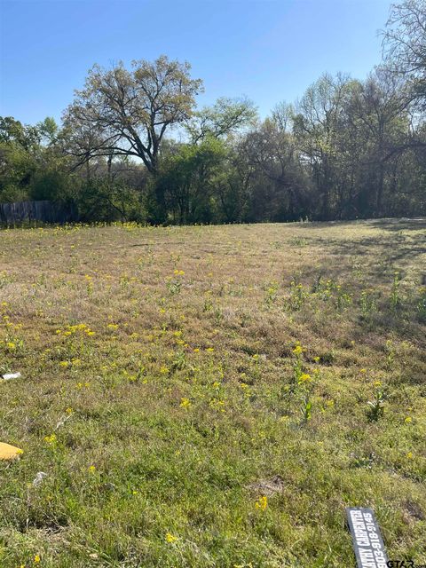 TBD N Main St Winnsboro TX 75494