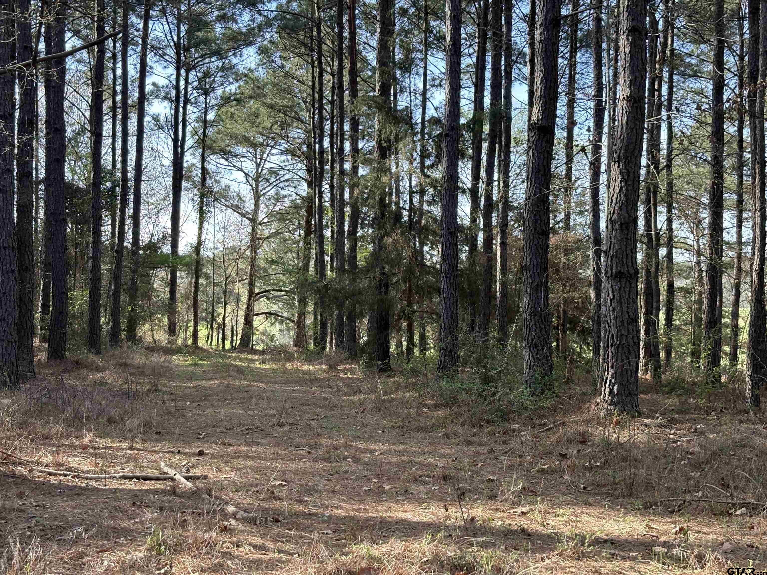 TBD 17.57 ACRES FM 2274