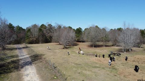 605 CR 2100 Quitman TX 75783