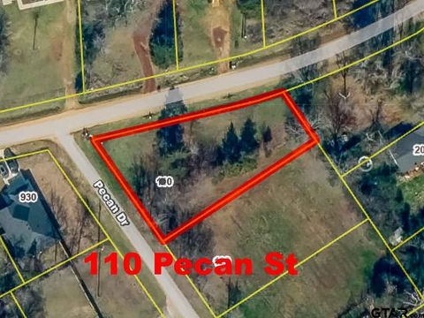 110 Pecan Drive Bullard TX 75757