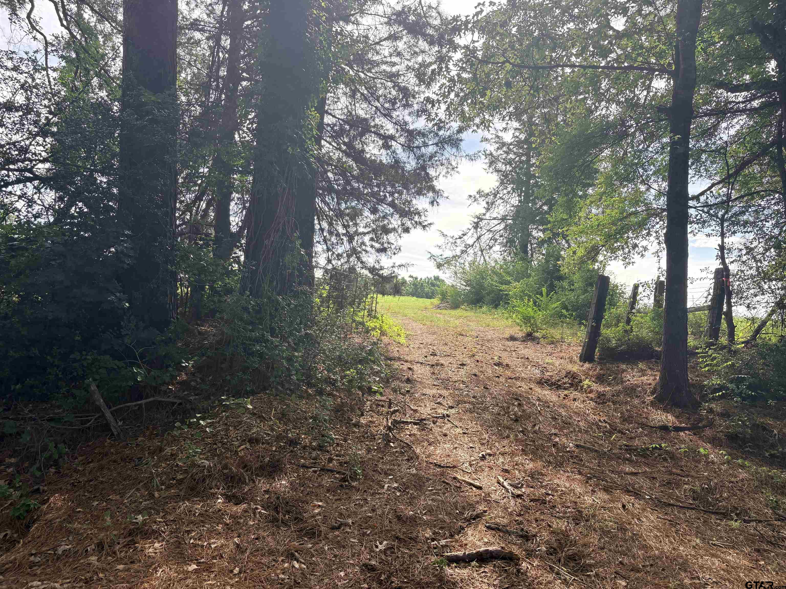 tbd 11.17 acres FM 856