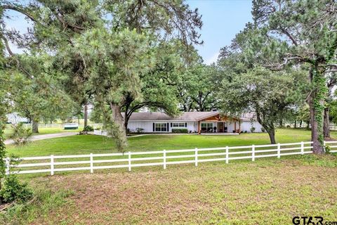 481 County Road 2766 Mineola TX 75773