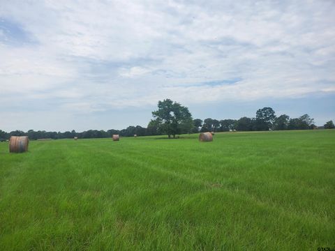 TBD CR 4221 Frankston TX 75763