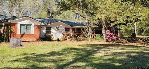 4269 hwy 21 West Alto TX 75925