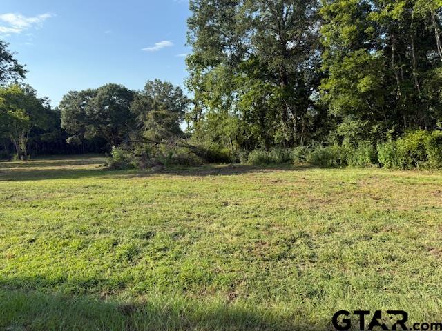 17846 E Farm to Market 346