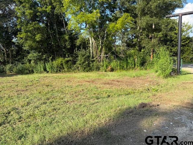 17846 E Farm to Market 346