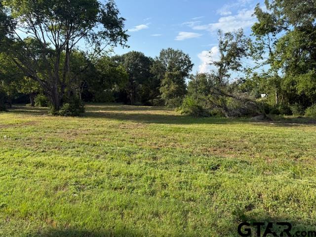 17846 E Farm to Market 346