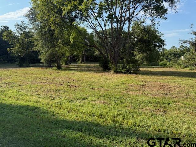 17846 E Farm to Market 346