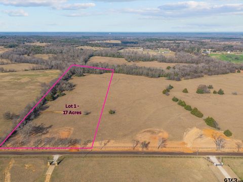 TBD County Road 477 Lot 1 Lindale TX 75771