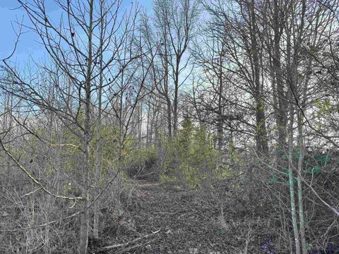 TBD County Road 4740 Mt Pleasant TX 75455