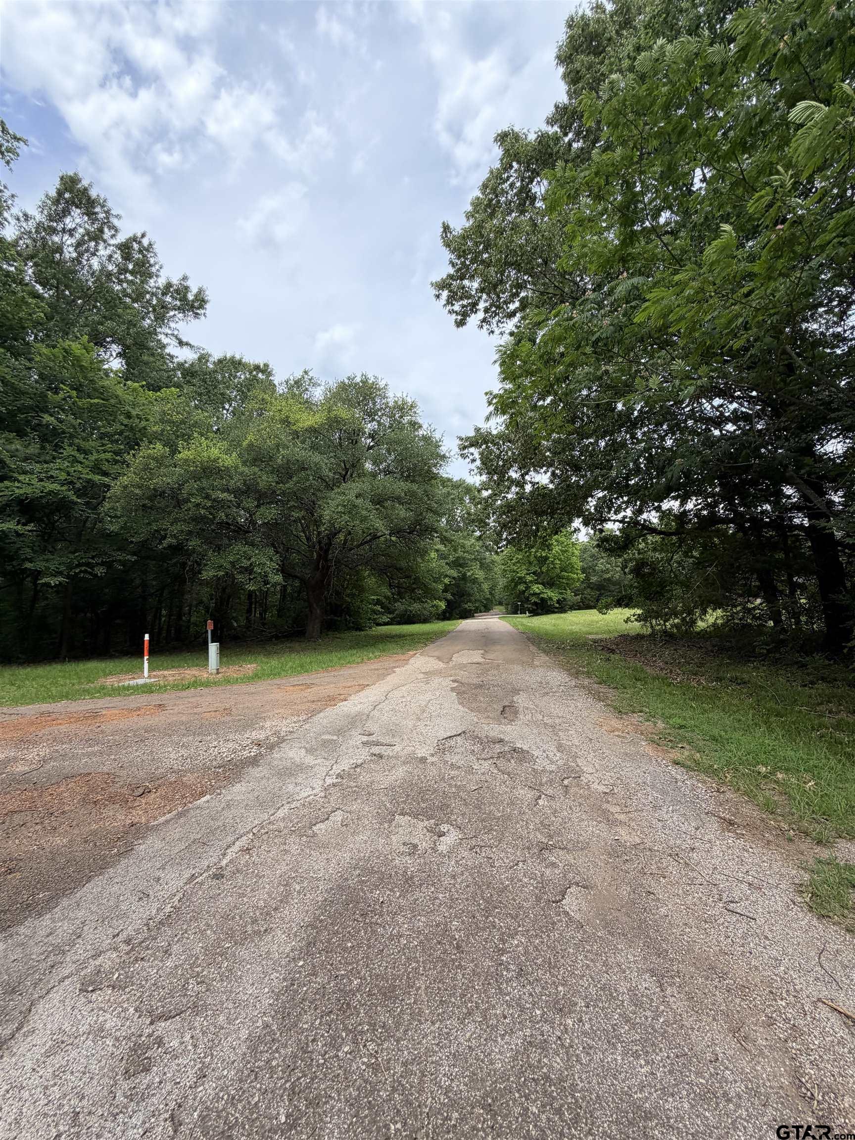 TBD LLANO MOUNT VERNON TX 75457