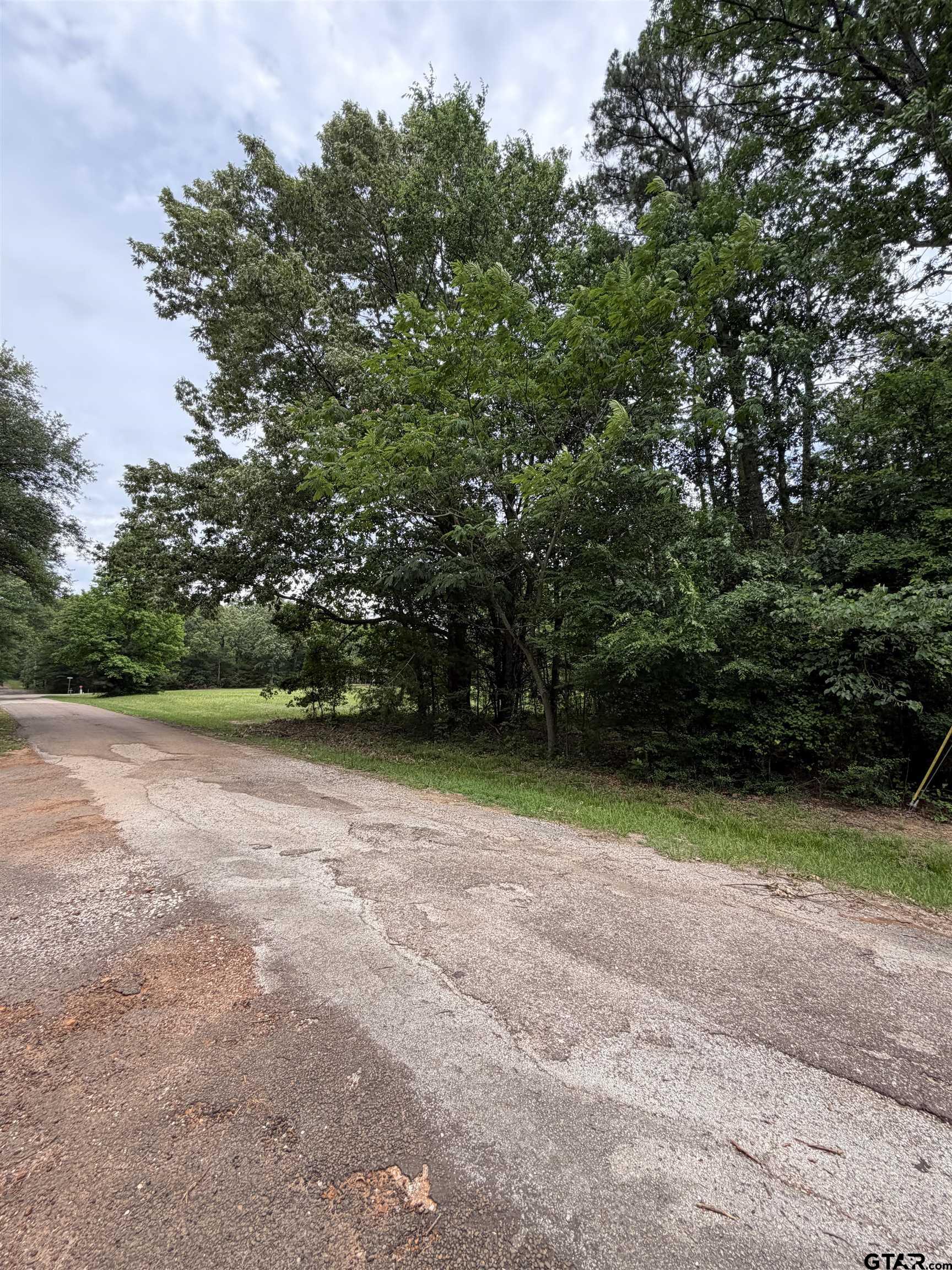 TBD LLANO MOUNT VERNON TX 75457