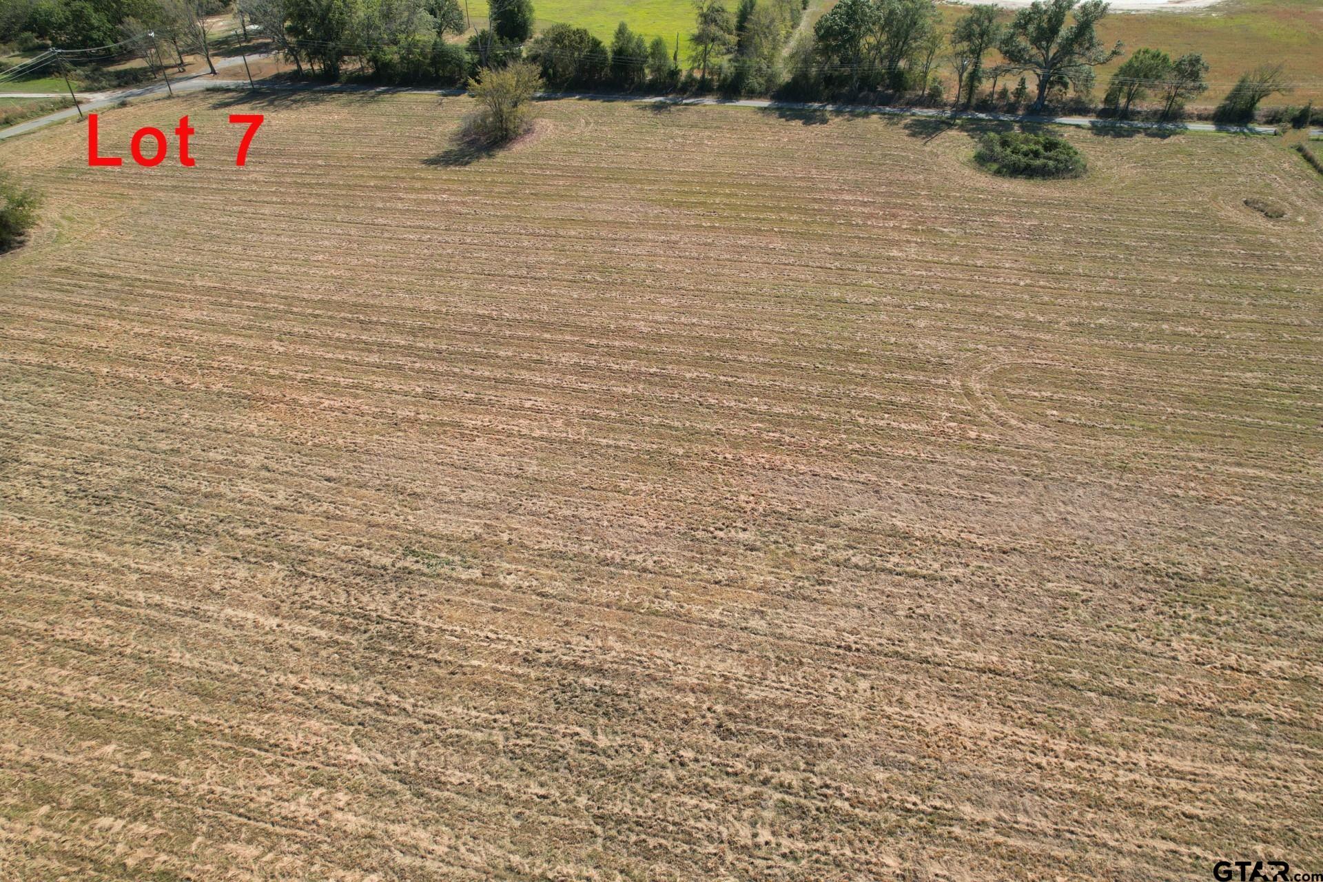 Lot 7 RS County Road 3150