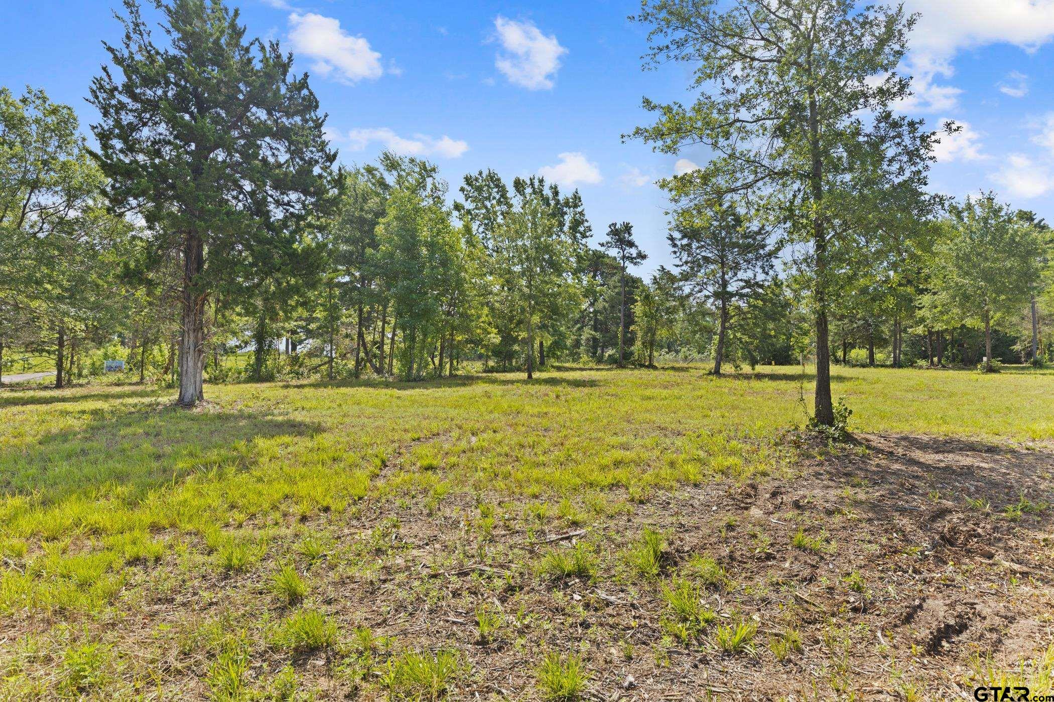 TBD County Road 4112 Lot 4