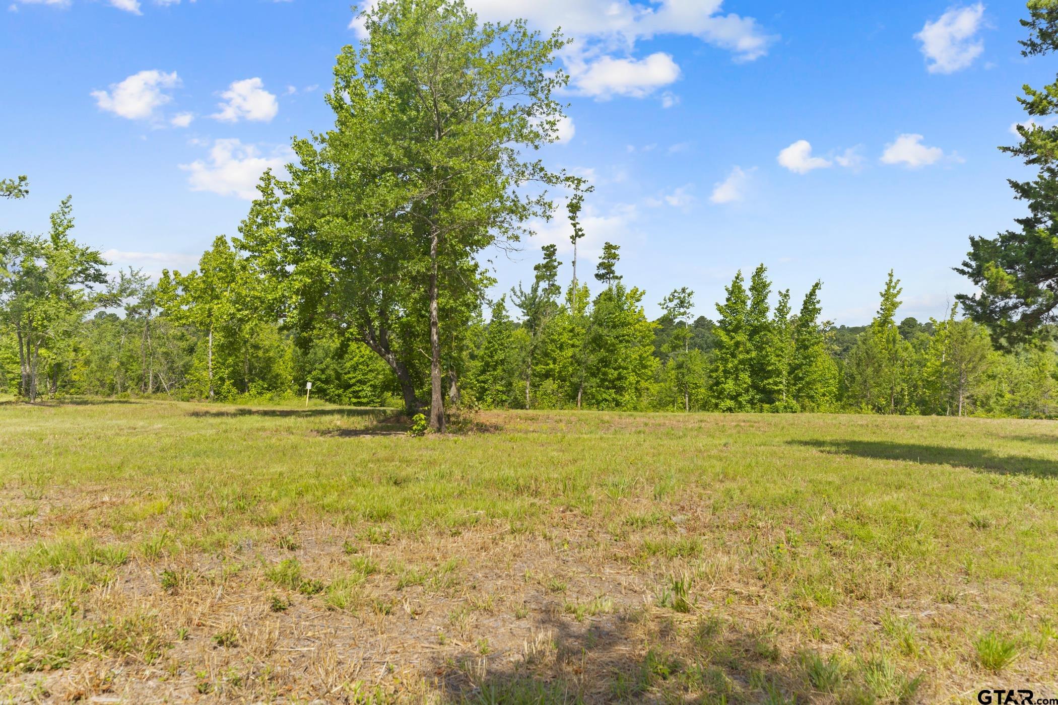 TBD County Road 4112 Lot 4