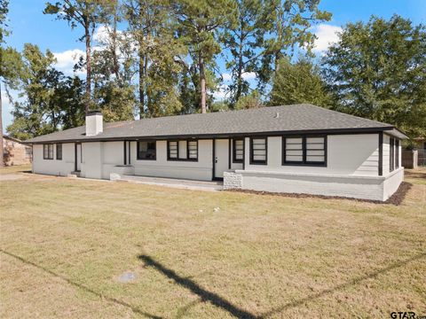 700 W Broadway St. Winnsboro TX 75494