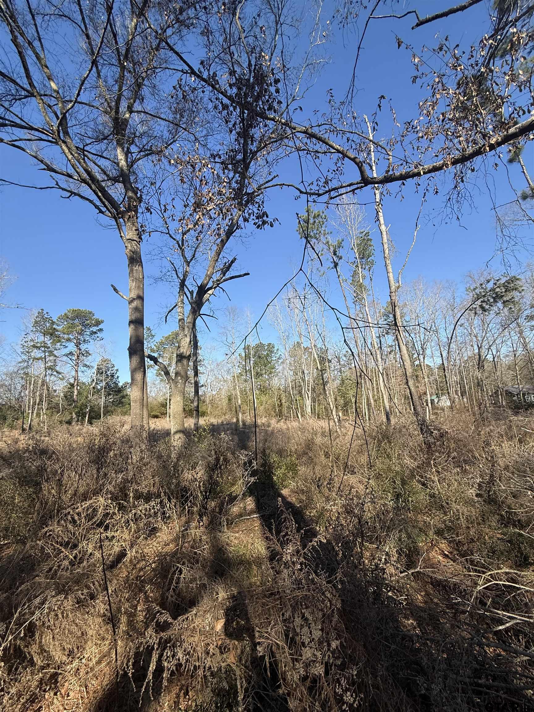 513 E State Highway 323