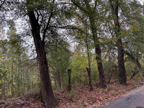 tbd CR 1312 Pittsburg TX 75686