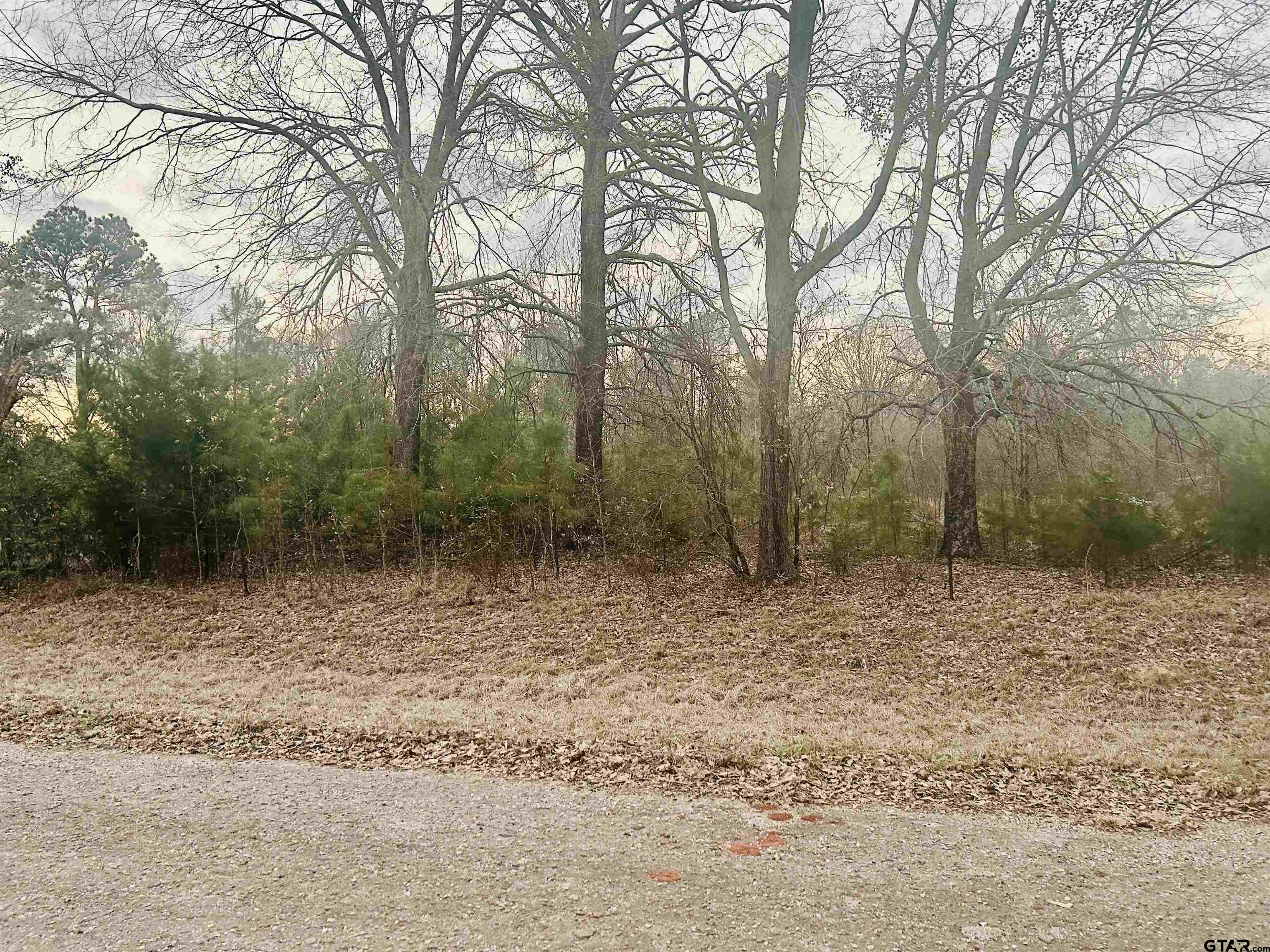 Troup, Texas 75789, United States, ,Land,Pending,7495