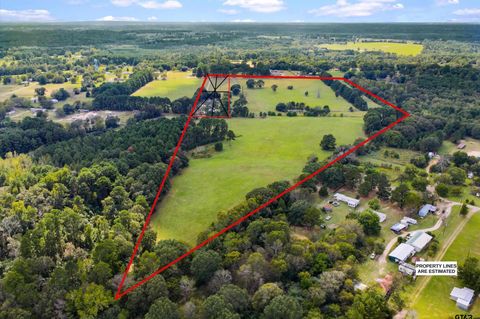 TBD 40.408 acre W CR 413 Henderson TX 75654