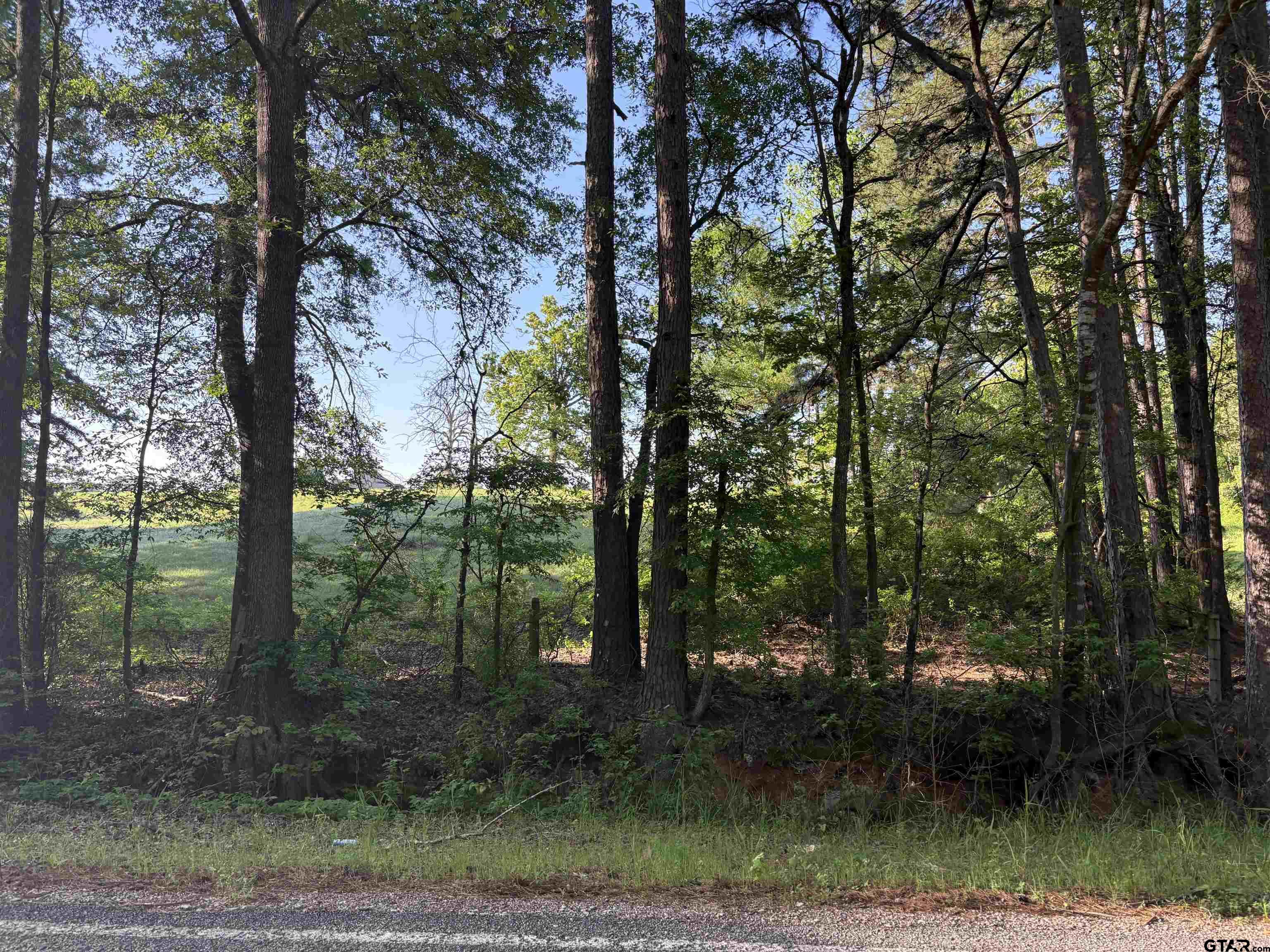 LOT 9  5+ ACRES FM 15