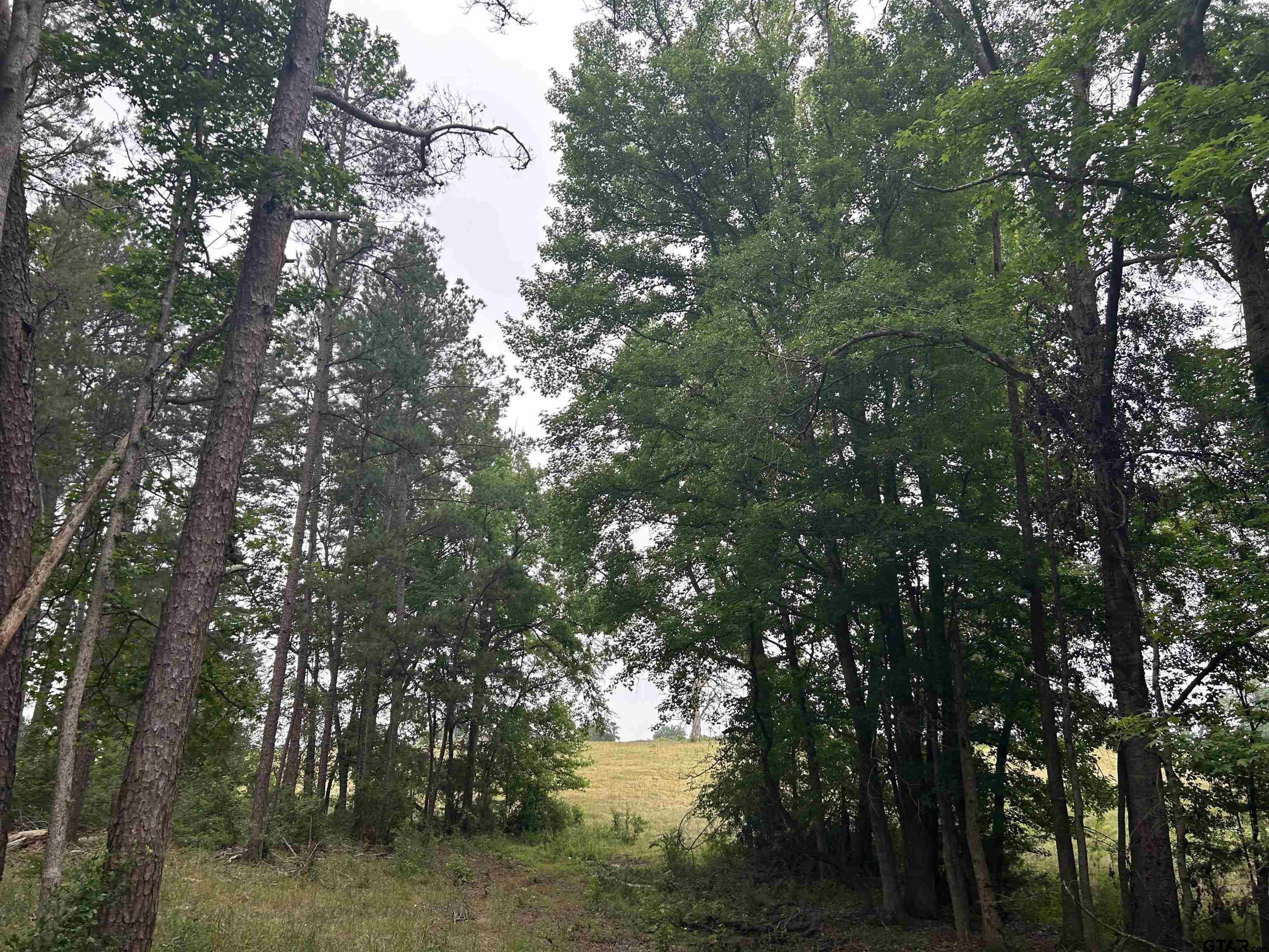 LOT 9  5+ ACRES FM 15