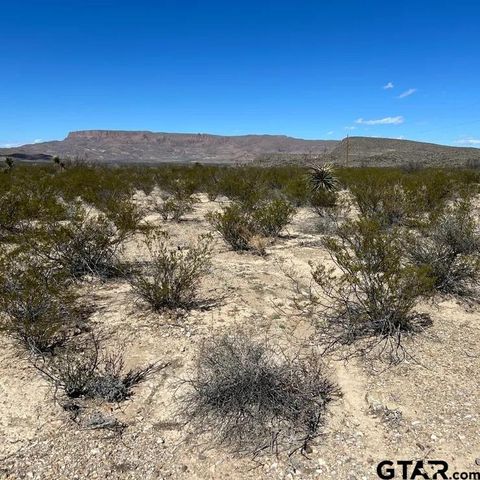 31466 Ringtail north tract Terlingua TX 79852