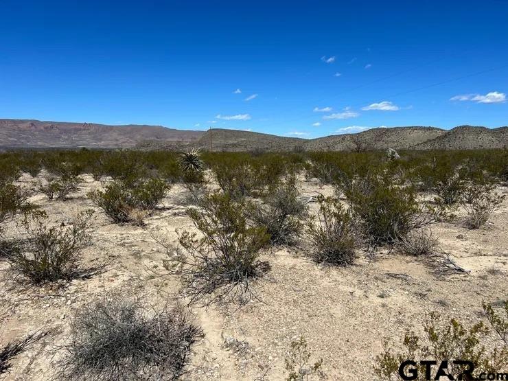 31466 Ringtail north tract