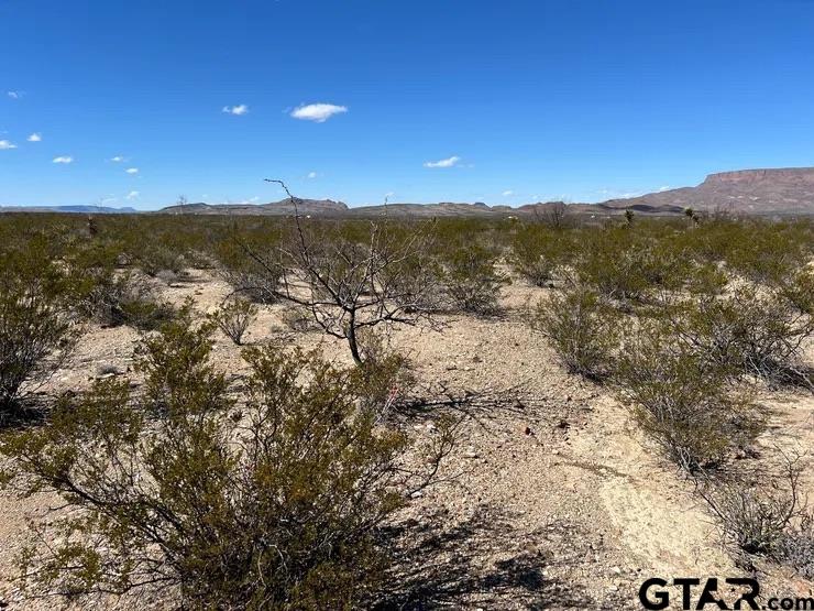 31466 Ringtail north tract