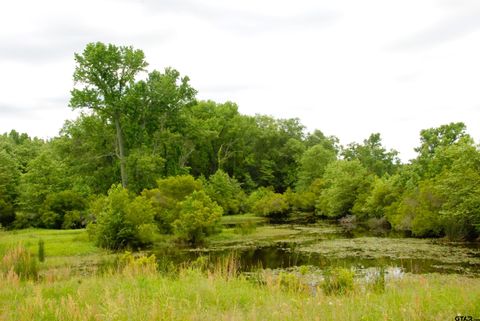 000 FM 857 Grand Saline TX 75140