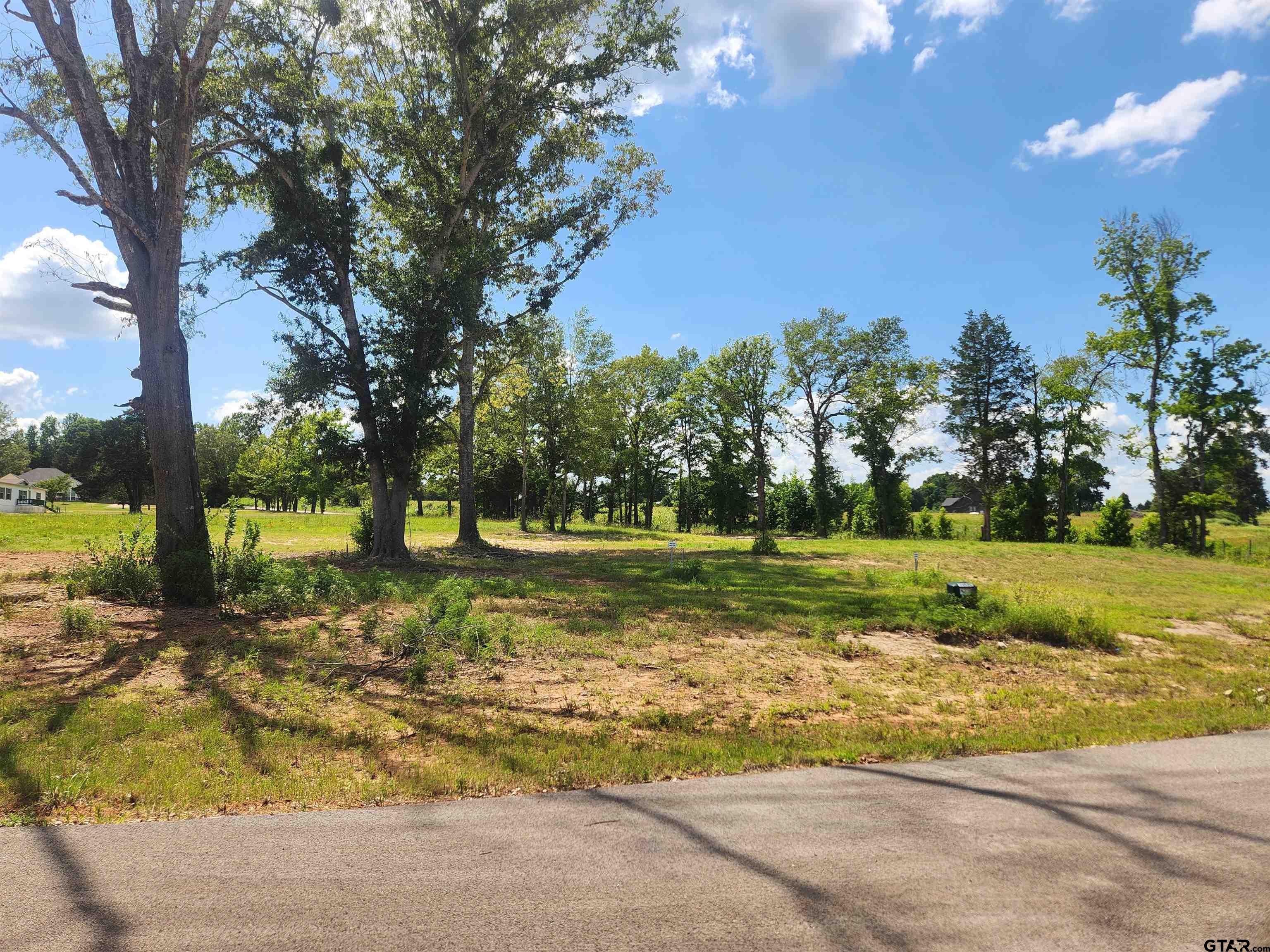 20034 Dews Ct Lot 3